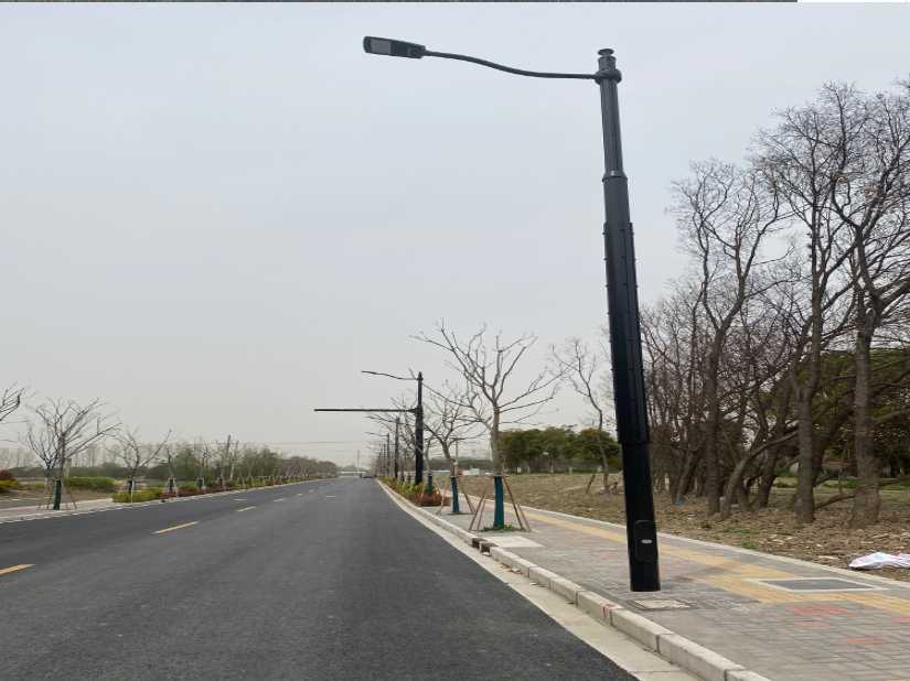 炎陵县上海综合杆 太阳能路灯工程